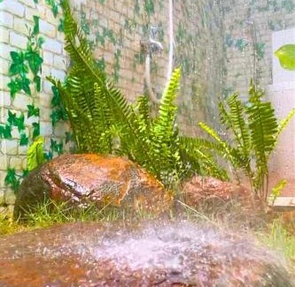 Buon Ma Thuot Apartment | Homestay Xóm Rau