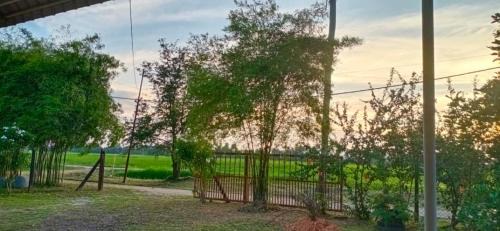 Kampung Permatang Janggus House | Homestay Zulaika Kota Aur