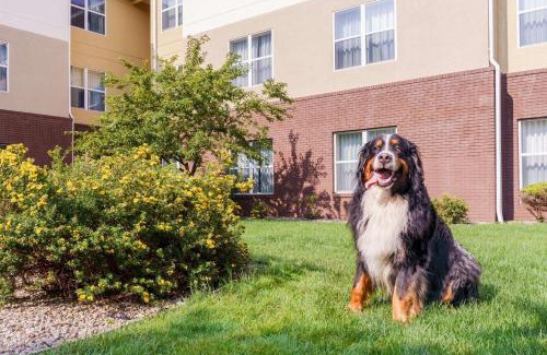 Rochester Hotel | Homewood Suites Rochester-Henrietta