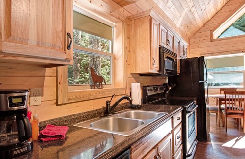 South Fork Cabin | Homey cabin near National Forest with private hot tub, deck, grill, & WiFi