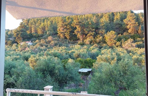 Pyrgos Cottage | Homonatura. Sense of Native Living