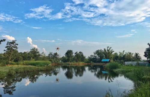 Khlong Muang Other | Homtel Farmstay Campgrounds