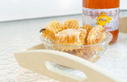 Virpazar Apartment | Honey Farm House
