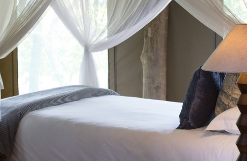 Sterkrivier Other | Honeyguide Ranger Camp