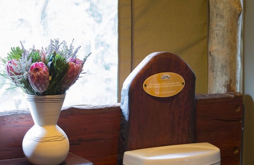 Sterkrivier Other | Honeyguide Ranger Camp