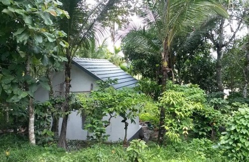 Civil Station Villa | Honeymoon villa-Green,eco friendly, Natural,tribal life, village resort