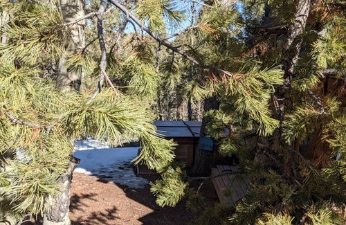 Cripple Creek Cottage | Honeymooner’s Cozy Cabin, with Hot Tub, near Cripple Creek - Last minute deals?