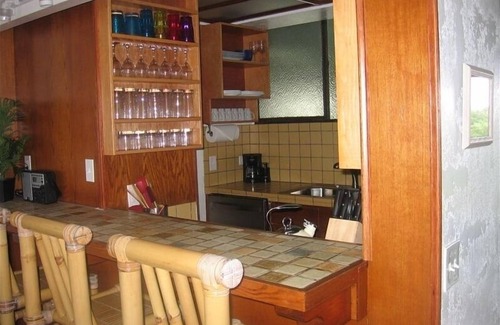 Hilo Condo | Honu Penthouse 2brm Spectacular Views. Swim with Sea Turtles