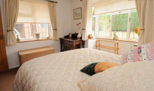 Gravesend Apartment | Hopewell self-catering
