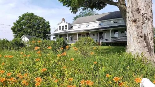 Town of Dover House | Hoppy Hill Farm House