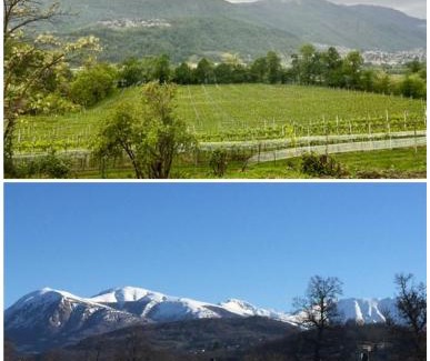 Breganzona Villa | Horatius home