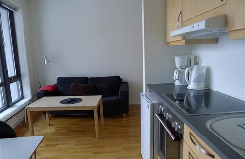 Roldal Apartment | Hordatun Hotel