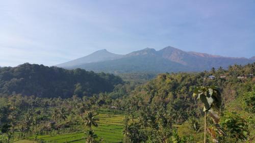 Bayan House | Horizon Senaru Villa