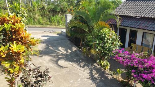 Bayan House | Horizon Senaru Villa