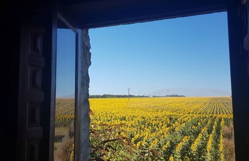 Saint-Pierre-de-Juillers Cottage | 'Horloge' La Grange du Moulin - Exclusively families, heated pool, garden, wifi