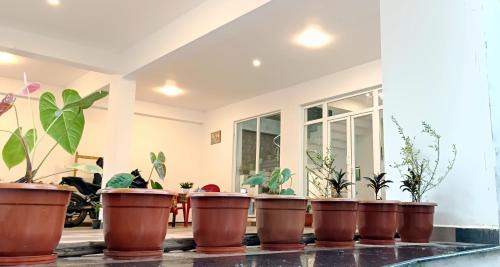 Valparai Bed & Breakfast | Hornbill Castle