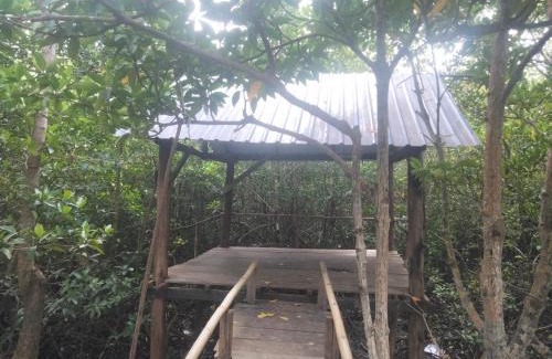 Koh Rong House | Hornbill Homestay