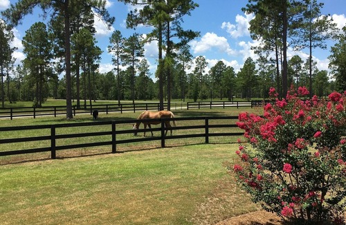 Aiken House | Horse Country Retreat Perfect for STEEPLECHASE or MASTERS or WINTER