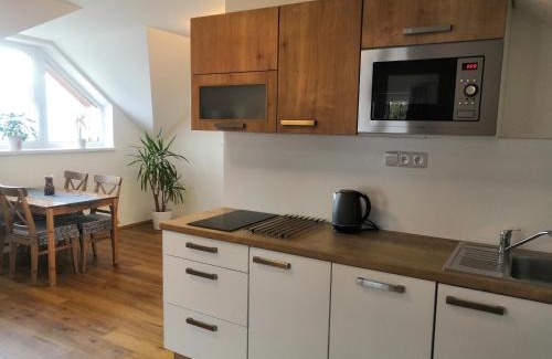 Bela pod Pradedem Apartment | Horská chata U Rychlých Filipovice