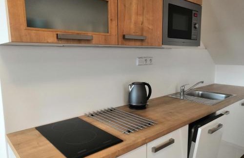 Bela pod Pradedem Apartment | Horská chata U Rychlých Filipovice