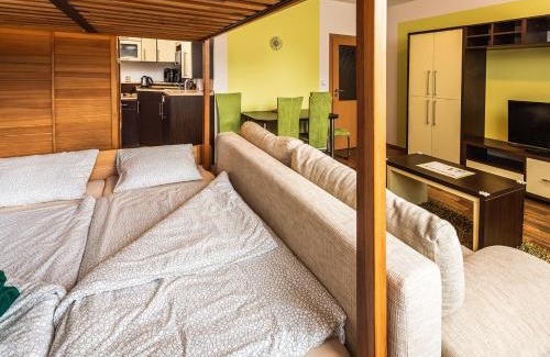 Loucna Pod Klinovcem Apartment | Horský Apartmán Klínovec 6