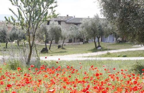 Cretas Apartment | Hort de L'Aubert