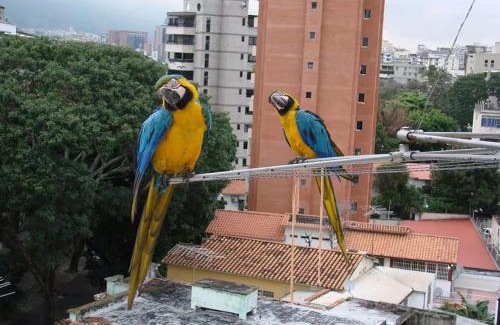 Downtown La Paz House | Hospedaje Toujours