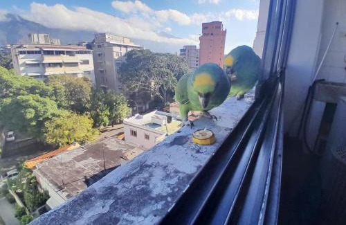 Downtown La Paz House | Hospedaje Toujours
