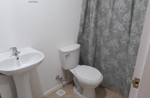Curico Apartment | Hostal Alessandri