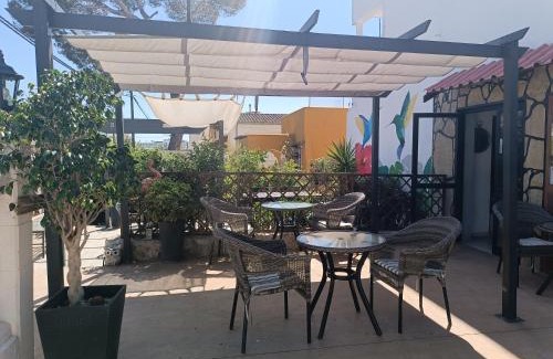 Palmanova House | Hostal Bélgica