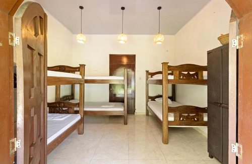 Palomino House | Hostal Casa del Rio