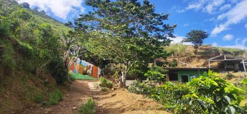 La Jagua de Ibirico House | Hostal el Forastero
