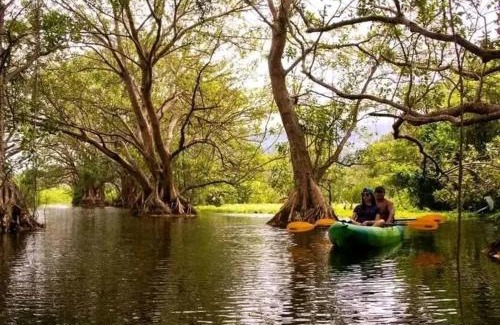 Ometepe Island House | Hostal el Malinche