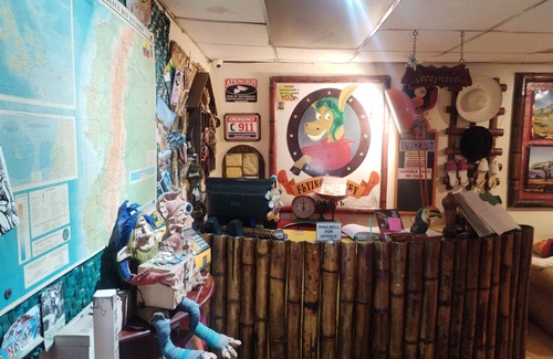 Otavalo Apartment | Hostal Flying Donkey Habitación Desde $8 por Persona , Visitanos 😄