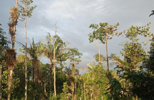 Uramba National Park Other | Hostal La Sinarena