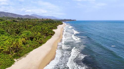 Palomino House | Hostal MOCAMBO BEACH