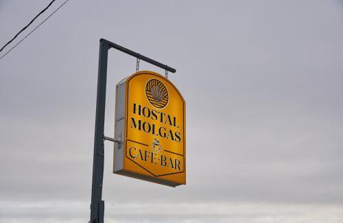 Pereiro de Aguiar House | Hostal Molgas