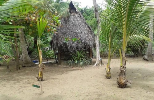 Canas Cabin | Hostal Pachamama