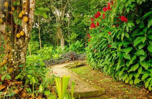 Tena House | Hostal Pakay