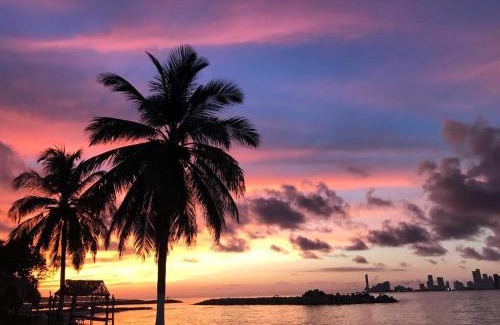 Tierra Bomba Island Hotel | Hostal Paraiso Beach