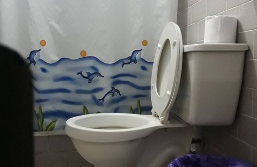 Banos de Agua Santa Hotel | Hostal Transilvania