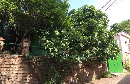 Avlabari Hostel | Hostel ∙ 8 guests