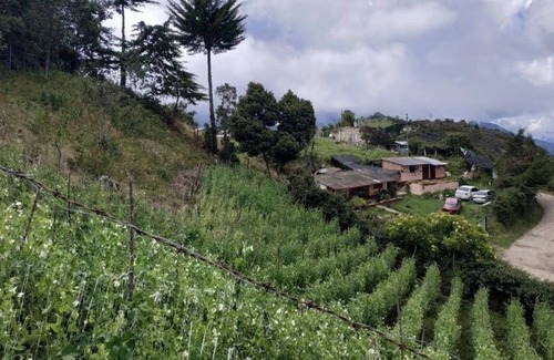 Mutiscua Hotel | Hostel Ferme Shamba La