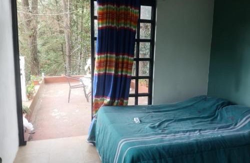 San Cristobal de las Casas Bed & Breakfast | Hostel del bosque