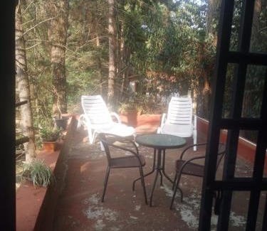 San Cristobal de las Casas Bed & Breakfast | Hostel del bosque