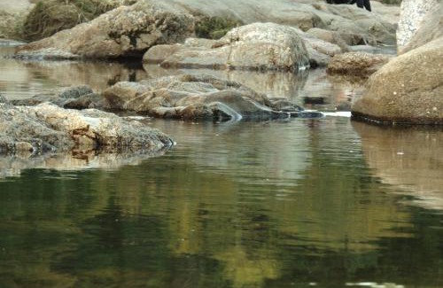 Mina Clavero Hotel | Hosteria Aguas Claras