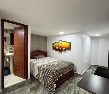 Santo Domingo de los Colorados Apartment | Hotel Monaco