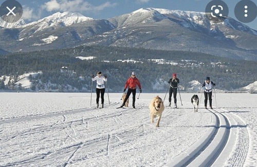 East Kootenay Cabin | Hot Springs Cabin (Pet Friendly)