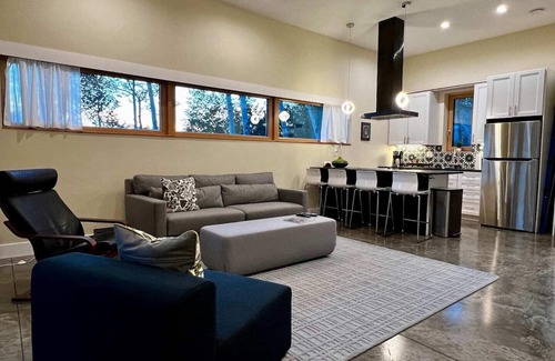 Crested Butte Apartment | | Hot Tub | 270 deg views | Fire pit