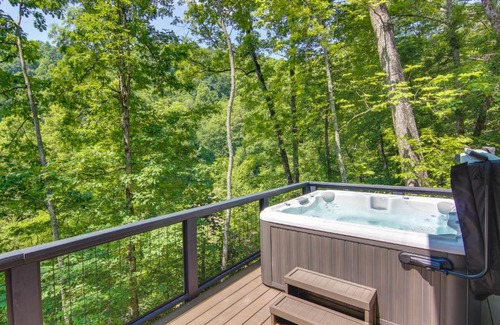 Fairview House | Hot Tub and Fire Pit Cabin in Black Mountain!